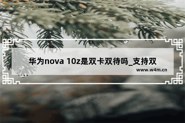 华为nova 10z是双卡双待吗_支持双卡双待吗