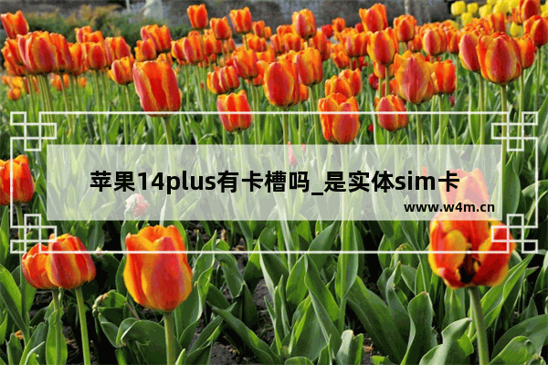 苹果14plus有卡槽吗_是实体sim卡槽吗