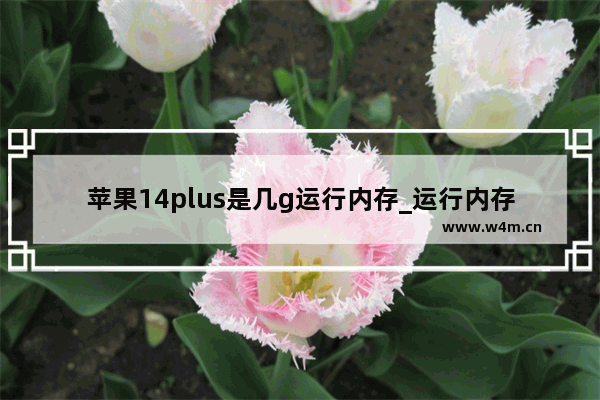 苹果14plus是几g运行内存_运行内存多大