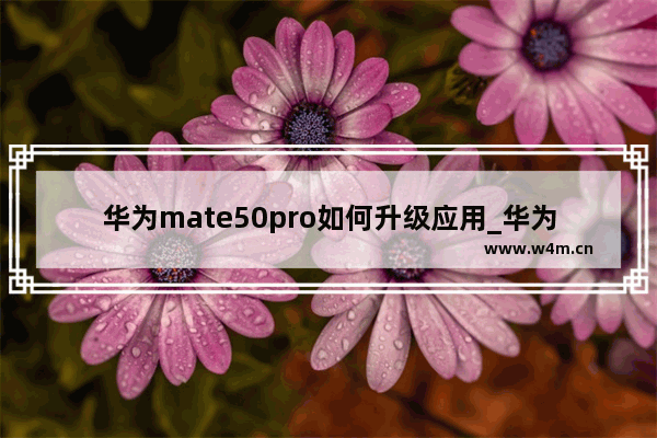 华为mate50pro如何升级应用_华为mate50pro怎么升级应用