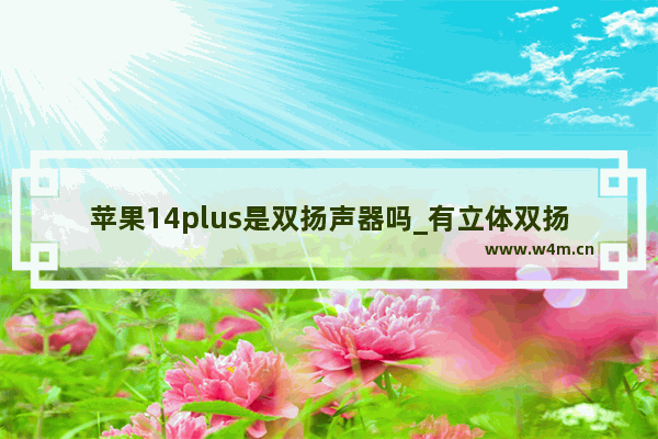 苹果14plus是双扬声器吗_有立体双扬吗