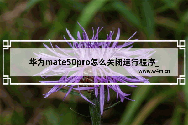 华为mate50pro怎么关闭运行程序_华为mate50pro如何关闭运行程序