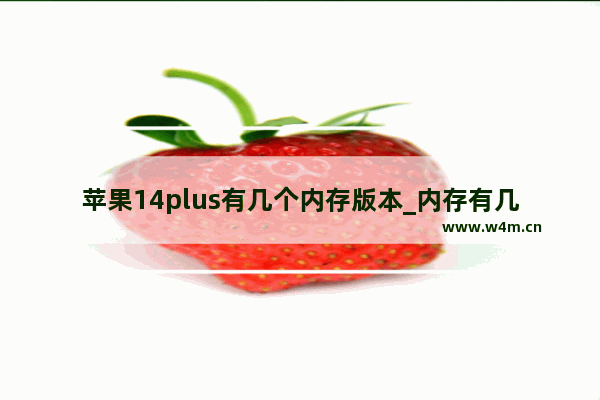 苹果14plus有几个内存版本_内存有几种