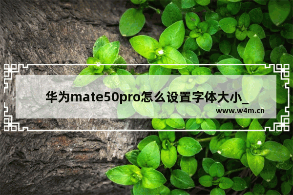 华为mate50pro怎么设置字体大小_华为mate50pro如何设置字体大小