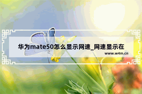 华为mate50怎么显示网速_网速显示在手机上方怎么设置