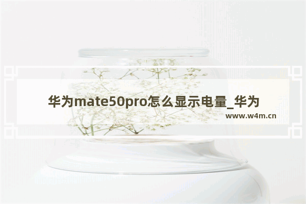 华为mate50pro怎么显示电量_华为mate50pro如何显示电量