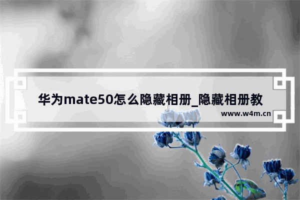 华为mate50怎么隐藏相册_隐藏相册教程