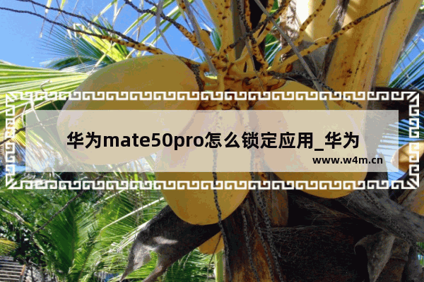 华为mate50pro怎么锁定应用_华为mate50pro如何锁定应用