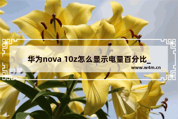 华为nova 10z怎么显示电量百分比_如何显示电量百分比