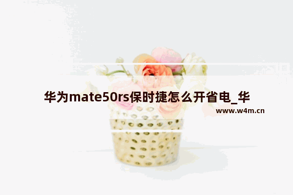 华为mate50rs保时捷怎么开省电_华为mate50rs保时捷怎么设置省电