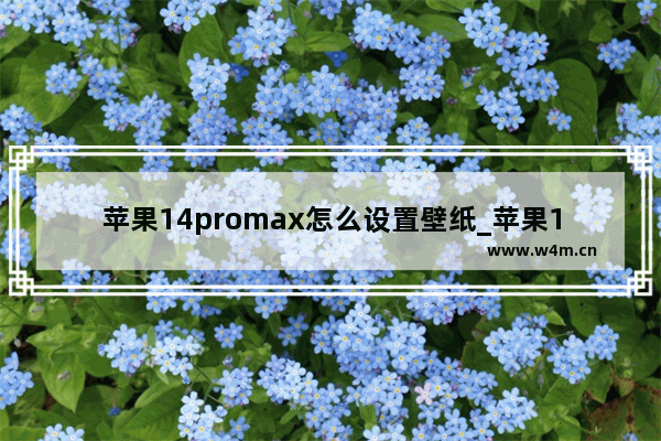 苹果14promax怎么设置壁纸_苹果14promax如何设置壁纸