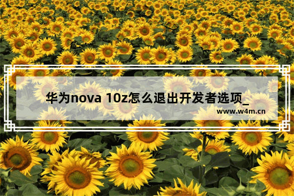 华为nova 10z怎么退出开发者选项_如何退出开发者选项