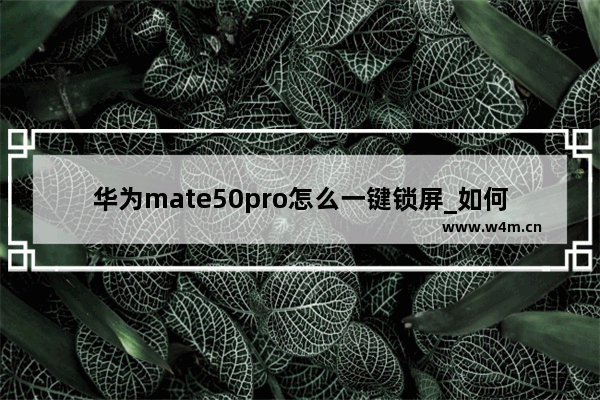 华为mate50pro怎么一键锁屏_如何一键锁屏