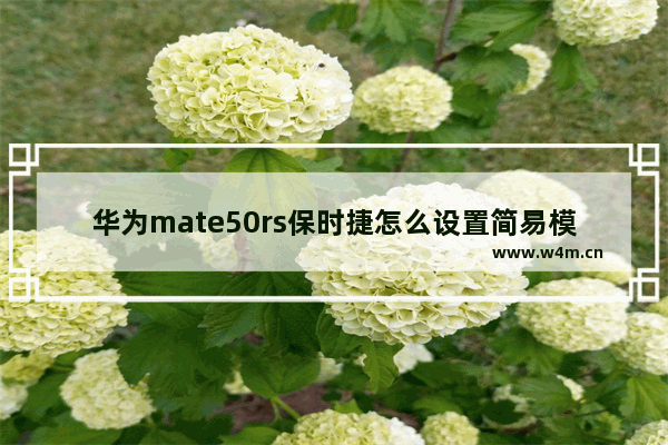 华为mate50rs保时捷怎么设置简易模式_华为简易模式怎么设置