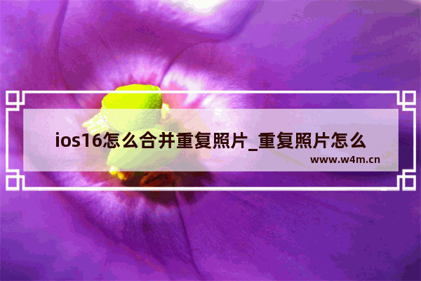 ios16怎么合并重复照片_重复照片怎么清理