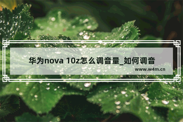 华为nova 10z怎么调音量_如何调音量