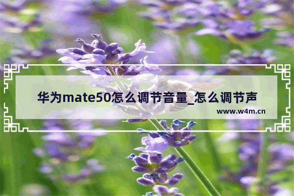 华为mate50怎么调节音量_怎么调节声音