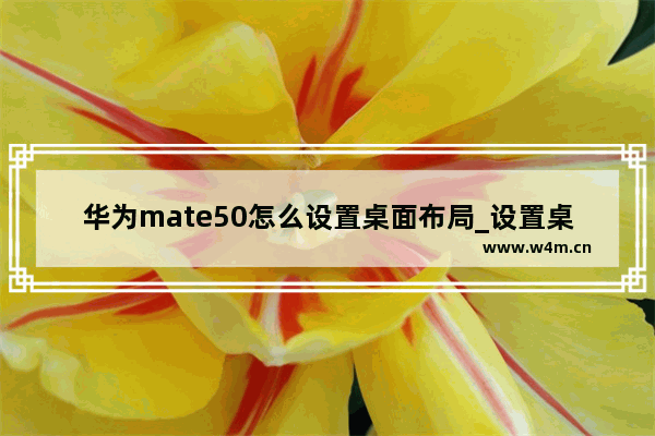 华为mate50怎么设置桌面布局_设置桌面布局教程