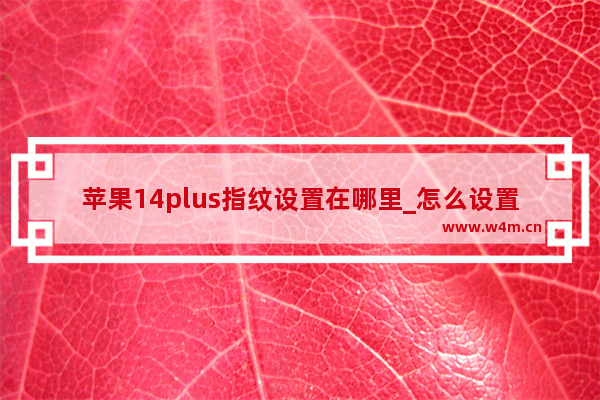 苹果14plus指纹设置在哪里_怎么设置指纹