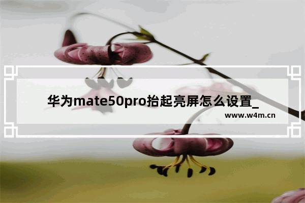 华为mate50pro抬起亮屏怎么设置_华为mate50pro抬起亮屏如何设置