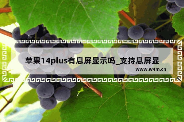 苹果14plus有息屏显示吗_支持息屏显示吗