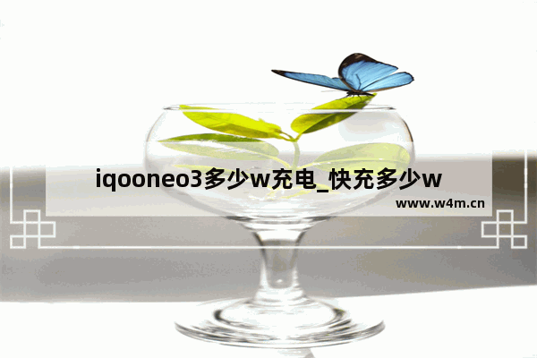 iqooneo3多少w充电_快充多少w