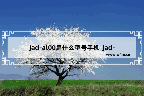 jad-al00是什么型号手机_jad-al00是华为什么型号手机