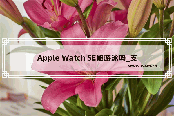 Apple Watch SE能游泳吗_支持游泳吗