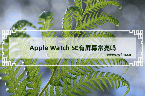 Apple Watch SE有屏幕常亮吗_支持屏幕常亮吗