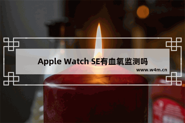 Apple Watch SE有血氧监测吗_支持血氧监测吗