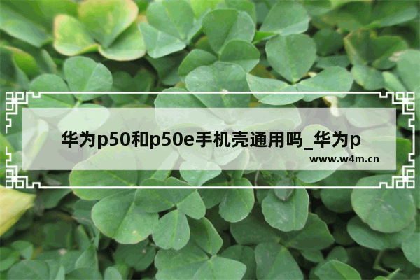 华为p50和p50e手机壳通用吗_华为p50和p50e手机壳一样吗