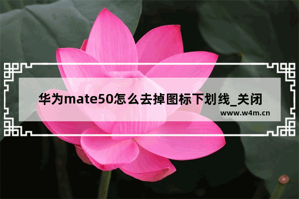 华为mate50怎么去掉图标下划线_关闭图标下划线教程