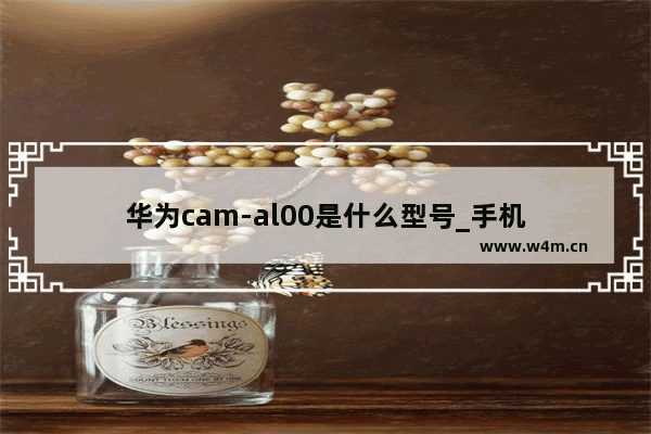 华为cam-al00是什么型号_手机