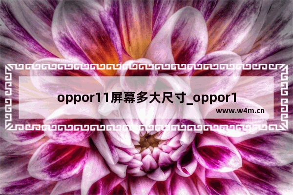 oppor11屏幕多大尺寸_oppor11屏幕尺寸多大