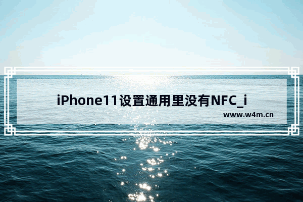 iPhone11设置通用里没有NFC_iphone11通用没有nfc功能