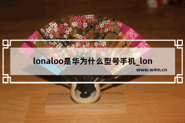 lonaloo是华为什么型号手机_lonaloo是什么手机