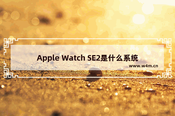 Apple Watch SE2是什么系统_搭载什么系统