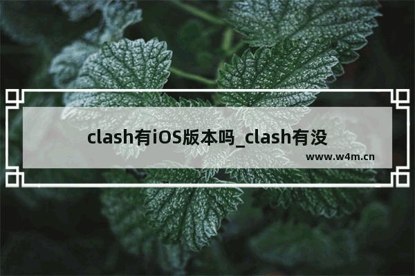 clash有iOS版本吗_clash有没有ios版本