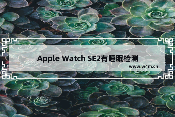 Apple Watch SE2有睡眠检测吗_支持睡眠检测吗