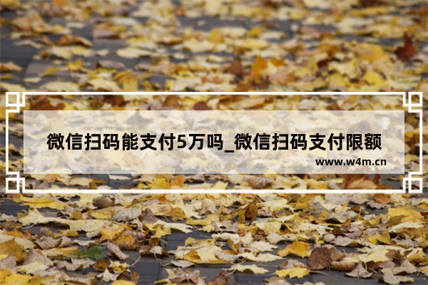 微信扫码能支付5万吗_微信扫码支付限额