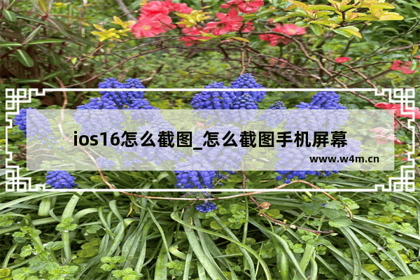 ios16怎么截图_怎么截图手机屏幕