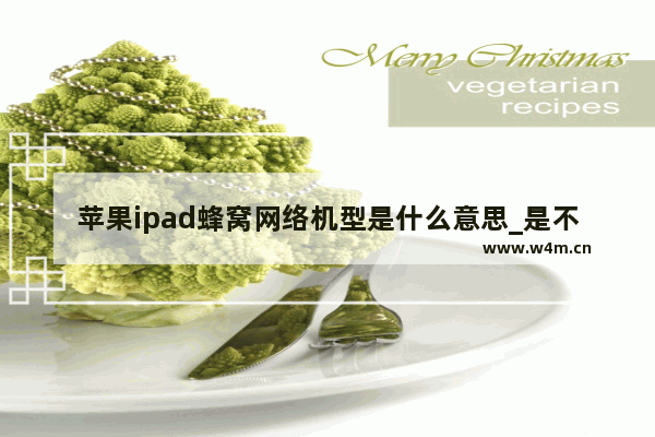 苹果ipad蜂窝网络机型是什么意思_是不是可以插卡