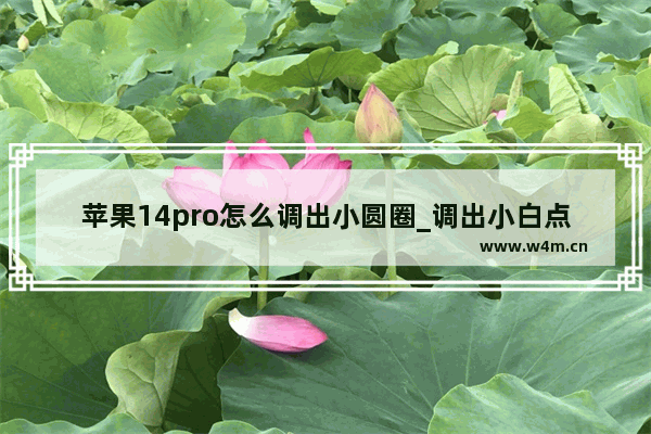 苹果14pro怎么调出小圆圈_调出小白点教程