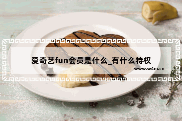 爱奇艺fun会员是什么_有什么特权