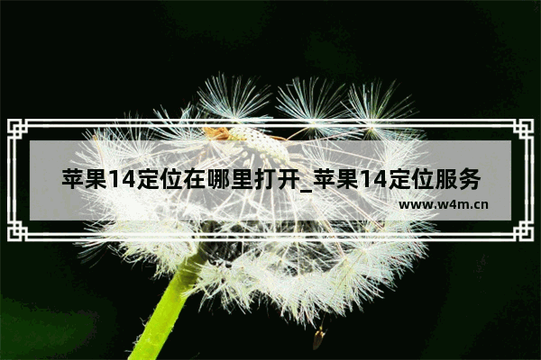 苹果14定位在哪里打开_苹果14定位服务怎么打开