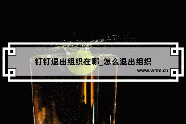 钉钉退出组织在哪_怎么退出组织