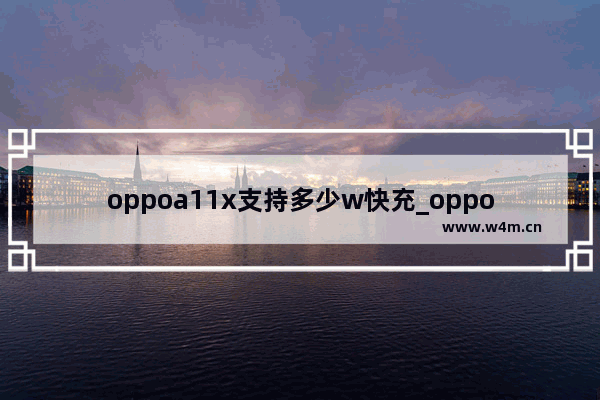 oppoa11x支持多少w快充_oppoa11x支持多少w充电功率