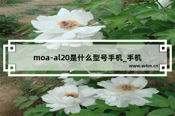 moa-al20是什么型号手机_手机