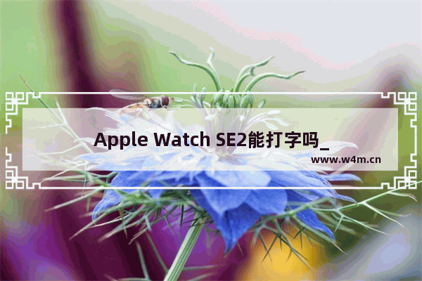 Apple Watch SE2能打字吗_可以打字吗