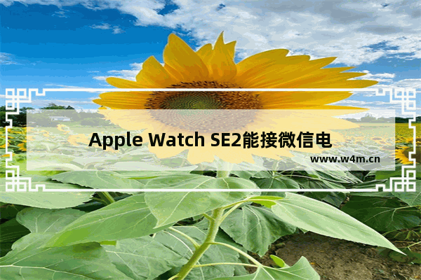 Apple Watch SE2能接微信电话吗_可以接微信电话吗